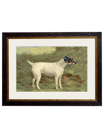 c.1881 Terriers styled view – Leya Buster Interiors