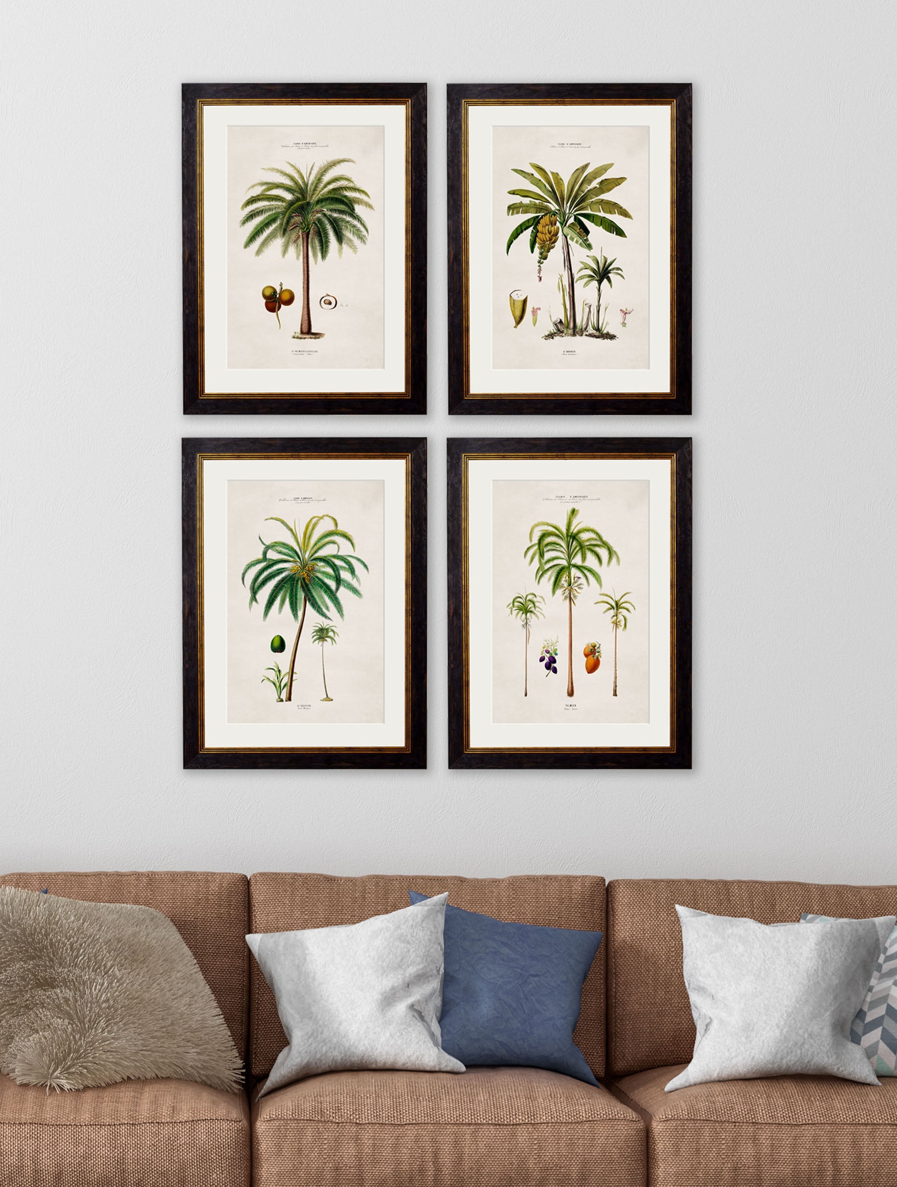 c.1843 Studies of South American Palm Trees – framed wall art at Leya Buster Interiors