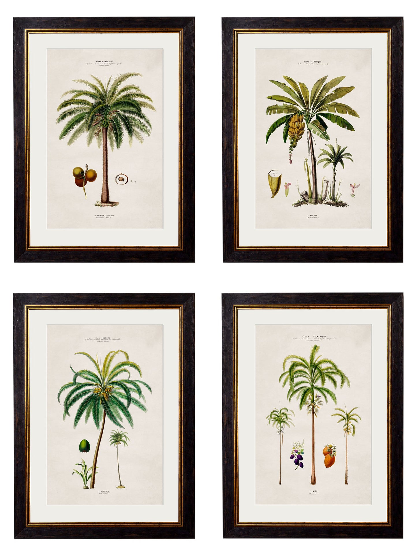 c.1843 Studies of South American Palm Trees detail – Leya Buster Interiors