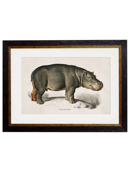 c.1846 Rhino & Hippo styled view – Leya Buster Interiors