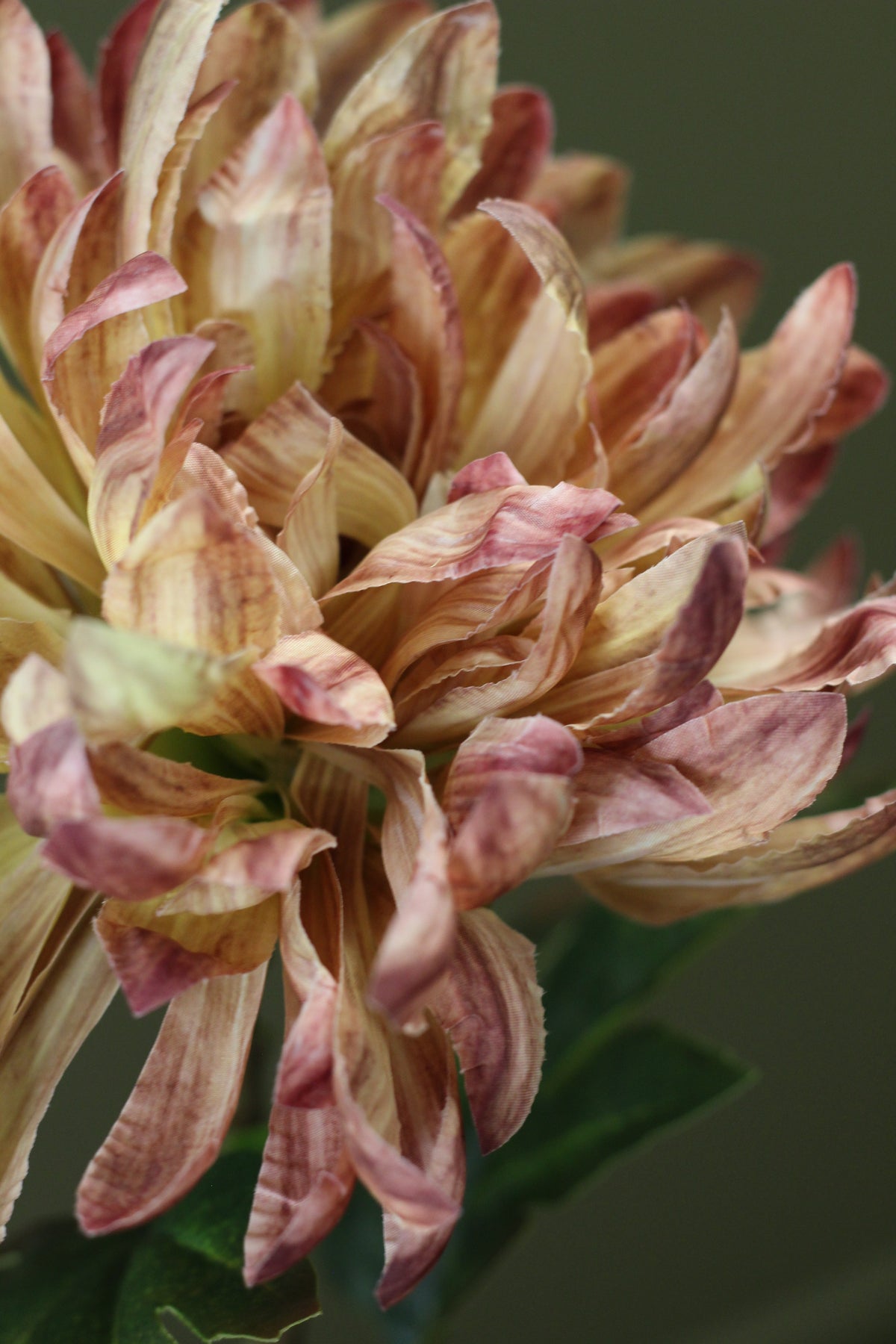 Honey Gold Chrysanthemum Stem detail view of the full faux flower head