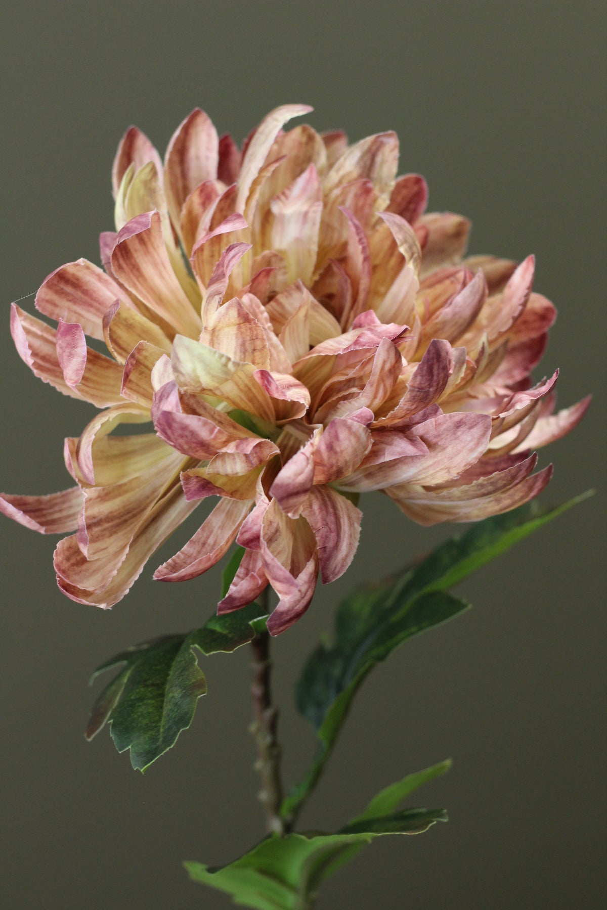 Honey Gold Chrysanthemum Stem styled in an autumn floral arrangement