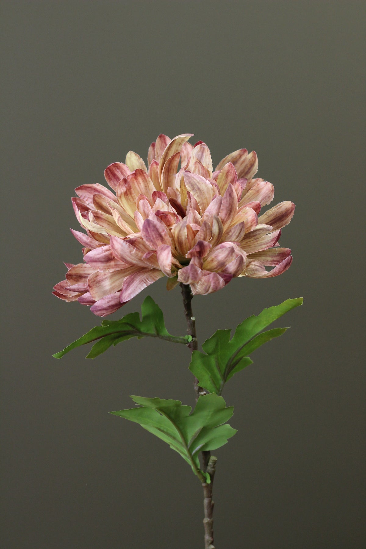 Honey Gold Chrysanthemum Stem alternative view for seasonal vase styling