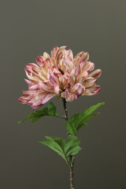 Honey Gold Chrysanthemum Stem alternative view for seasonal vase styling