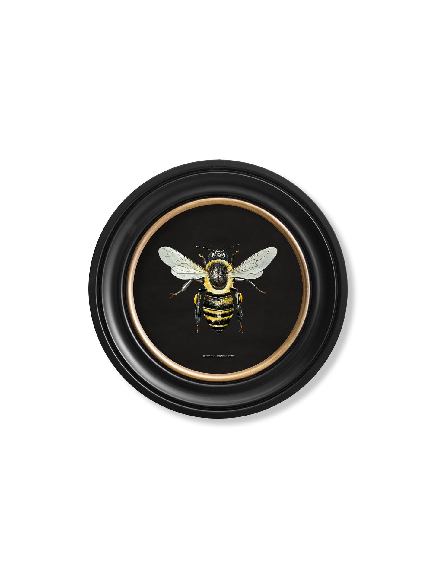 c892 British Bees Round Frame – Dark styled view – Leya Buster Interiors