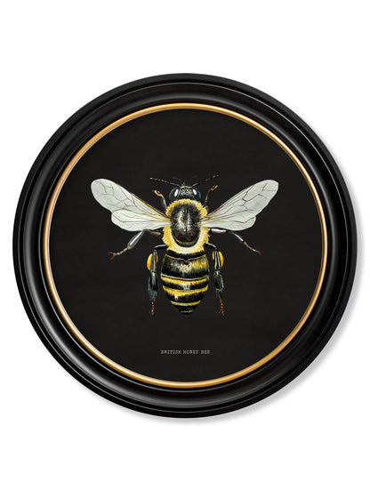 c892 British Bees Round Frame – Dark styled view – Leya Buster Interiors