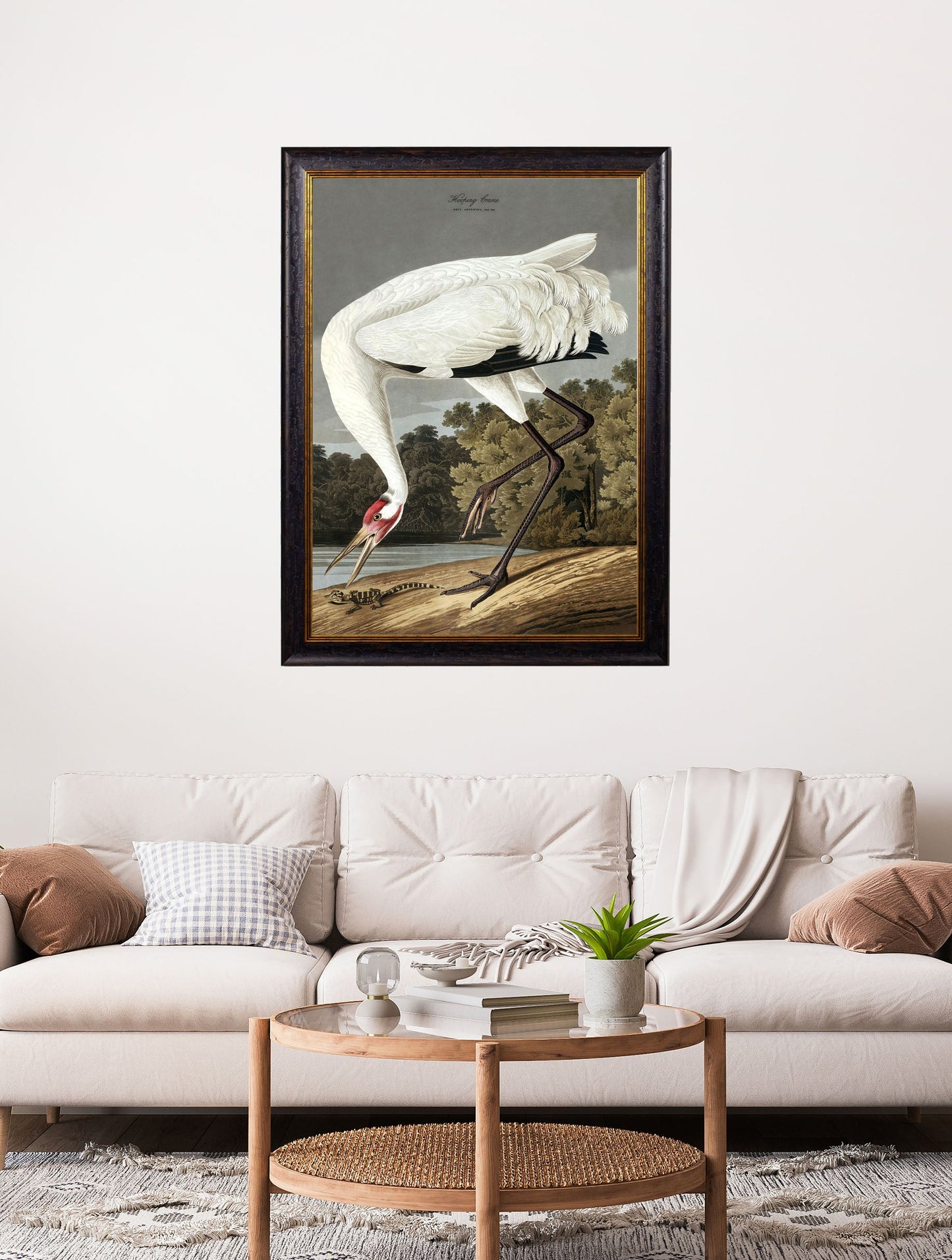 c.1838 Audubon's Hooping Crane – framed wall art at Leya Buster Interiors