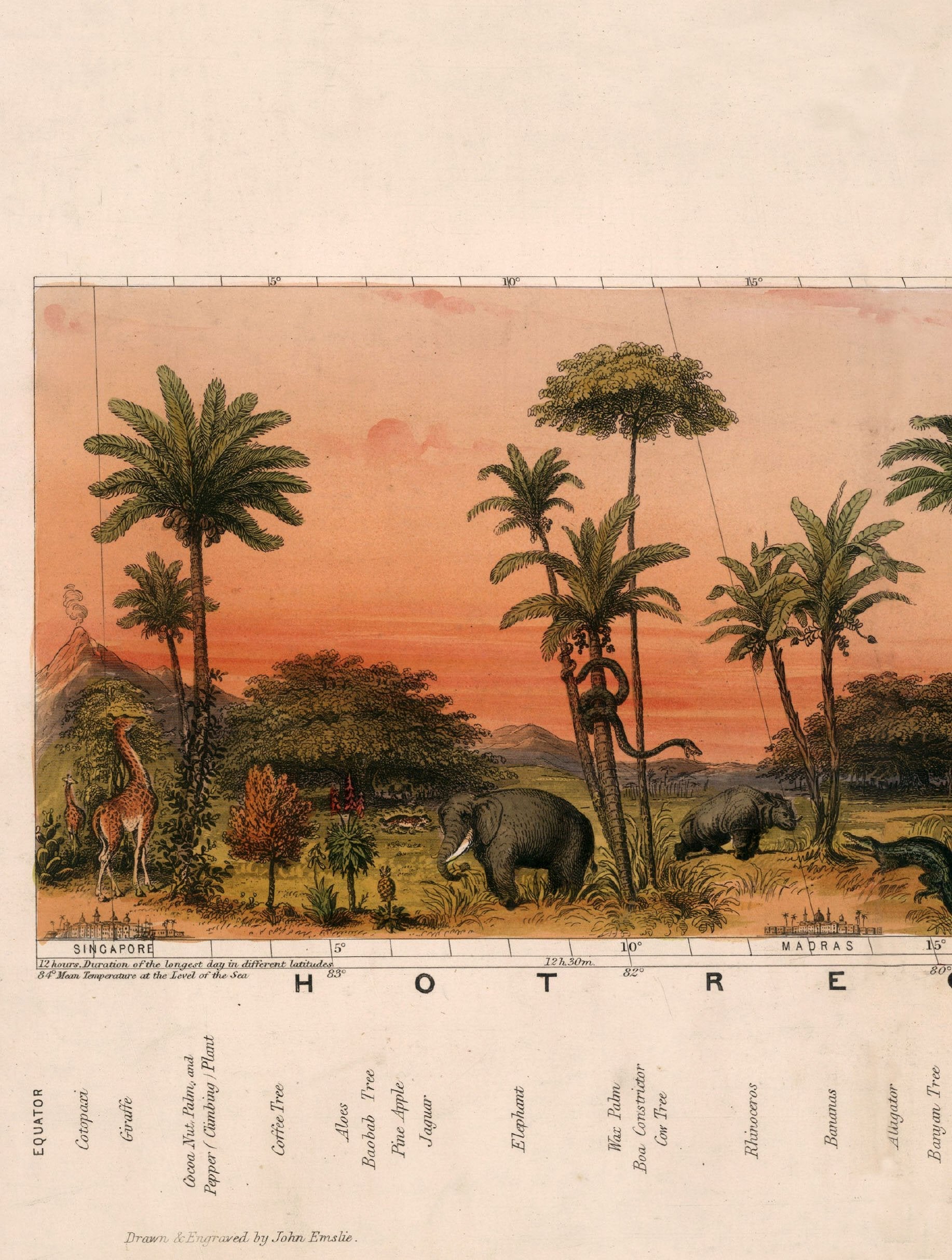 c.1852 View of Nature in all Climates – From the Equator to the Arctic Circle styled view – Leya Buster Interiors