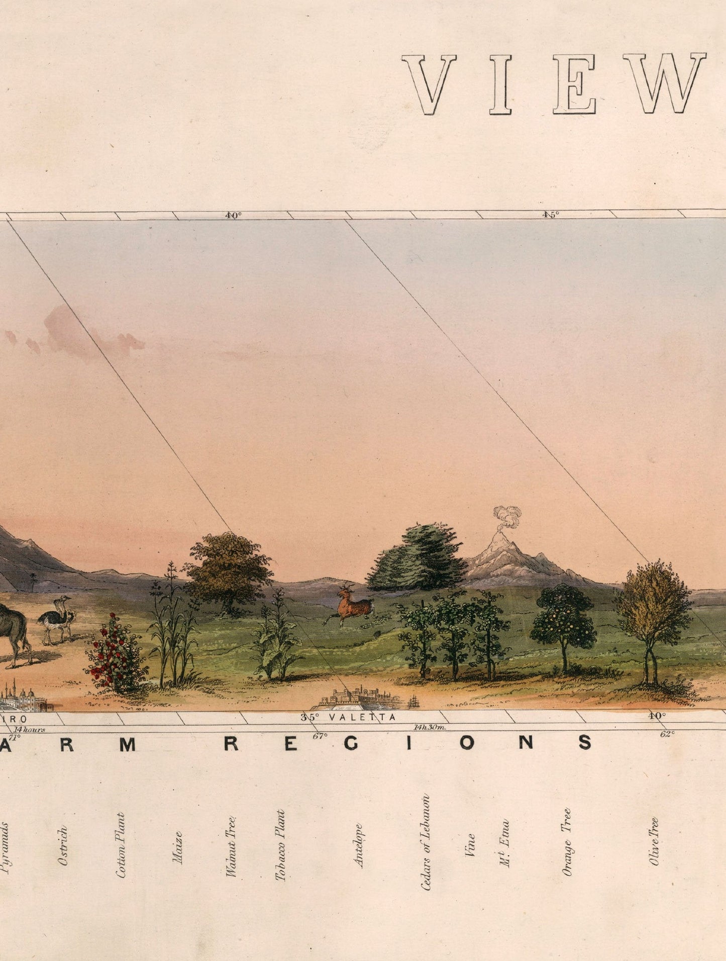 c.1852 View of Nature in all Climates – From the Equator to the Arctic Circle styled view – Leya Buster Interiors