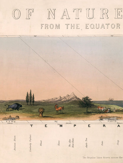 c.1852 View of Nature in all Climates – From the Equator to the Arctic Circle styled view – Leya Buster Interiors