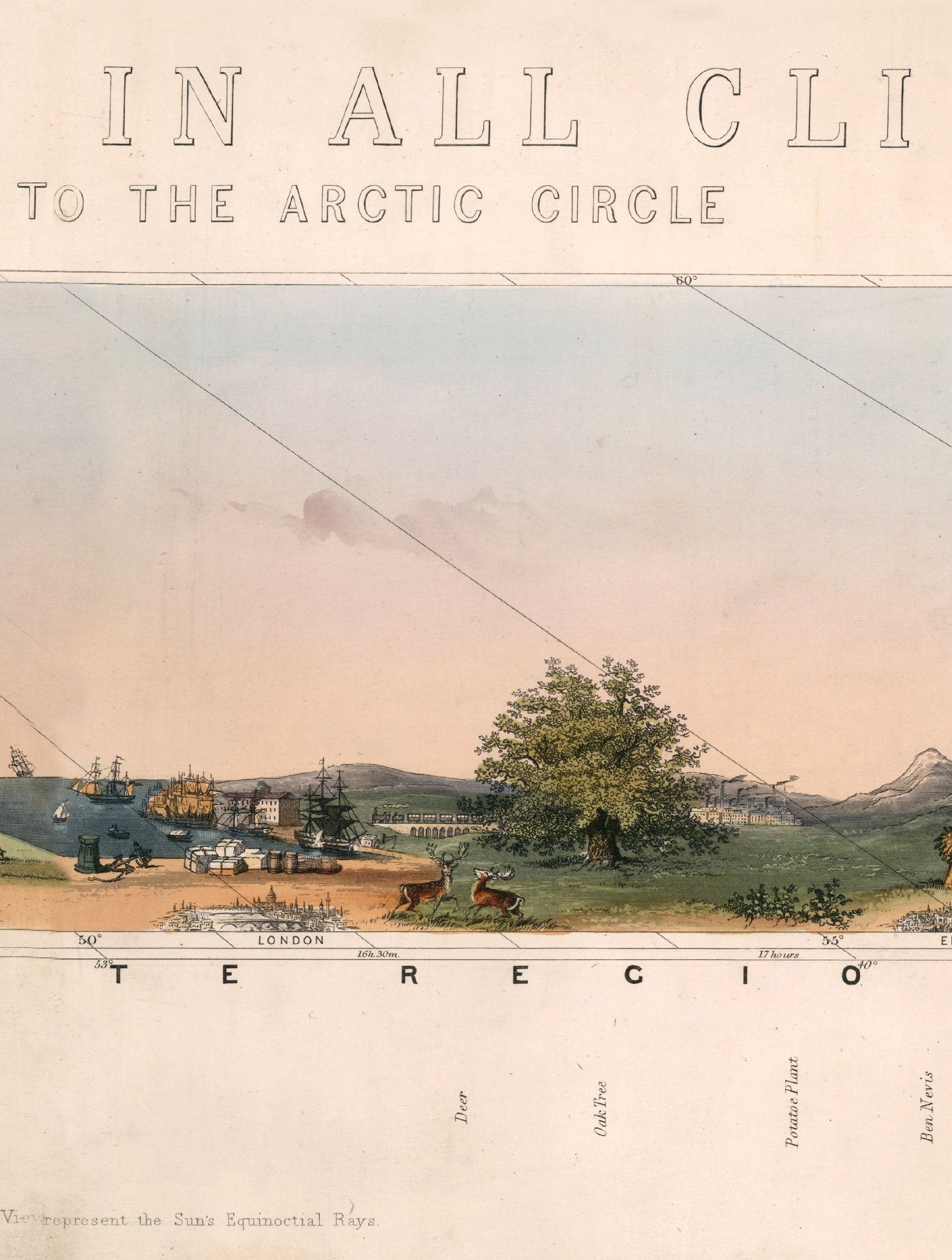 c.1852 View of Nature in all Climates – From the Equator to the Arctic Circle styled view – Leya Buster Interiors