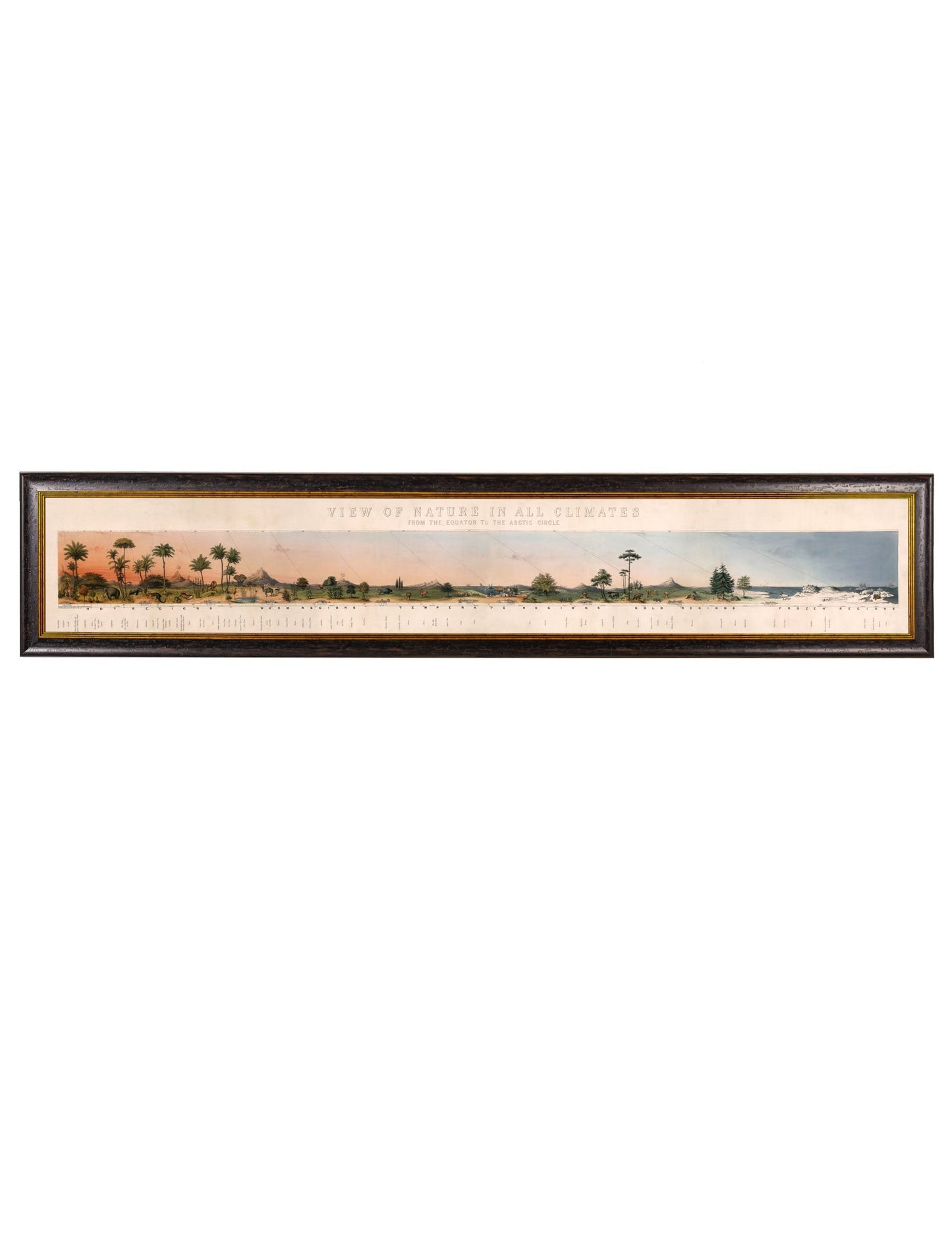 c.1852 View of Nature in all Climates – From the Equator to the Arctic Circle detail – Leya Buster Interiors