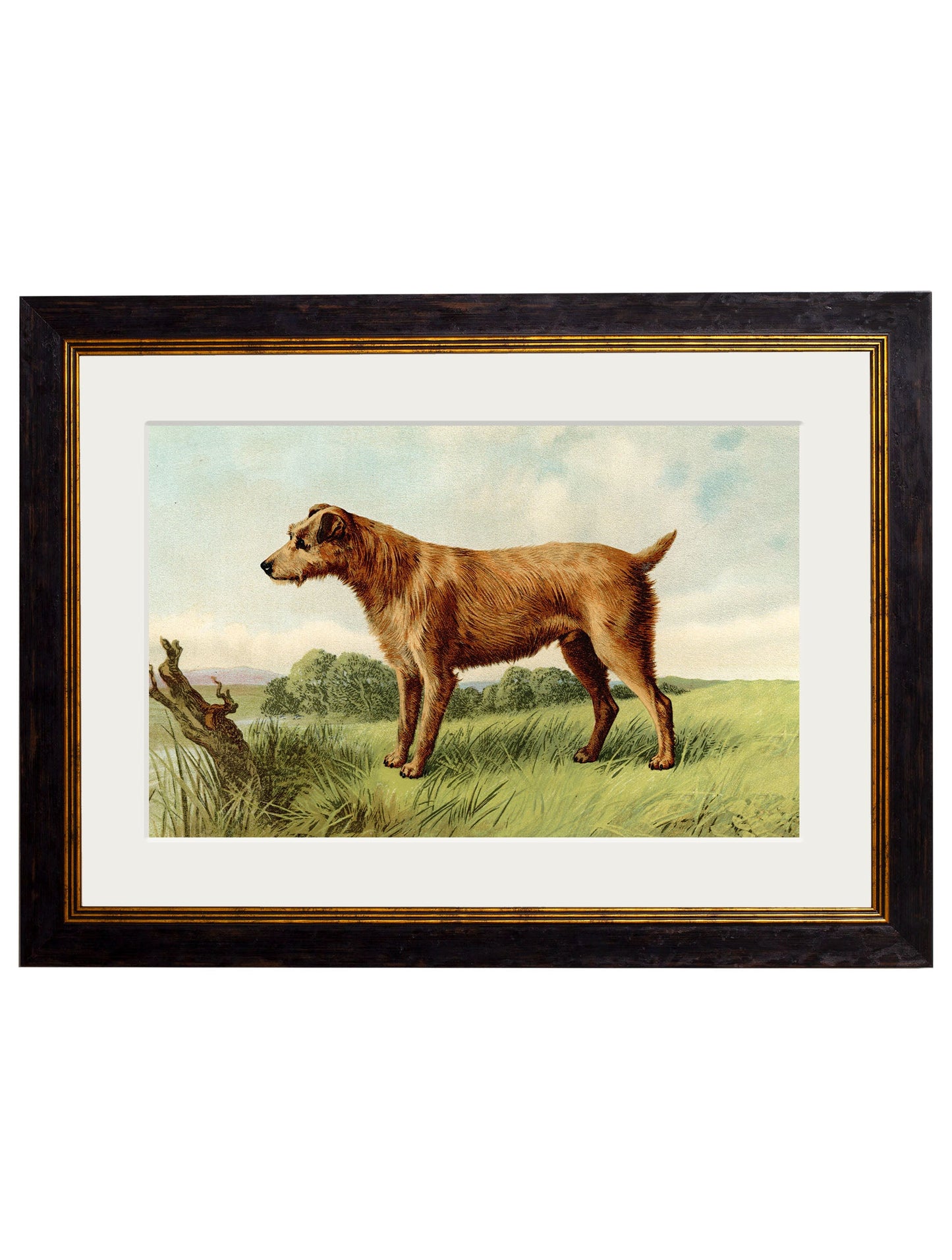 c.1881 Terriers styled view – Leya Buster Interiors