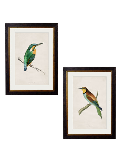 c.1870 Kingfisher & Bee Eater detail – Leya Buster Interiors