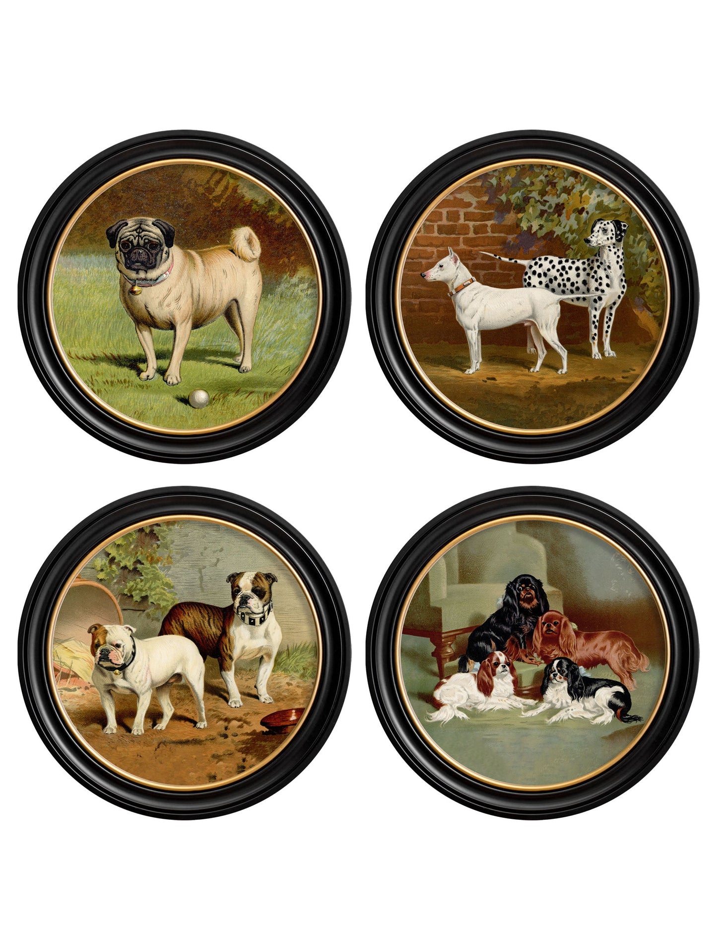 c.1881 Dogs – Round Frame detail – Leya Buster Interiors