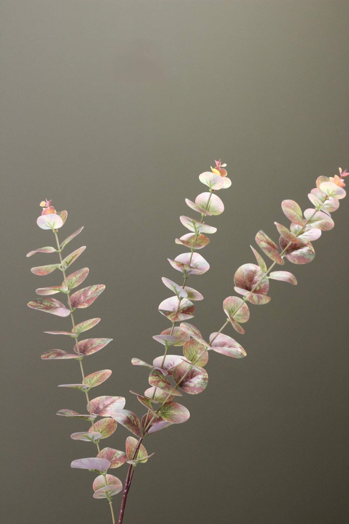 Olive & Umber Eucalyptus Stem faux foliage in muted olive and warm brown tones