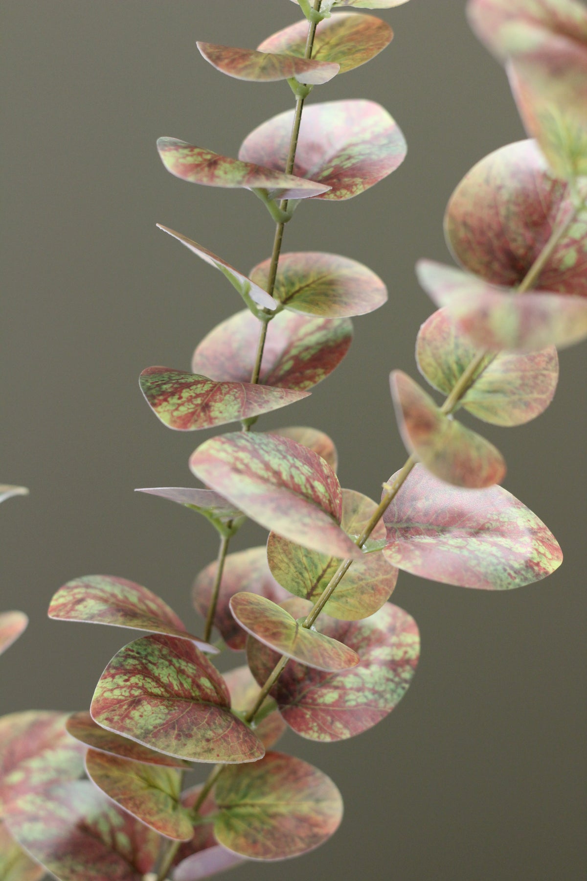 Olive & Umber Eucalyptus Stem styled in a warm autumn floral arrangement