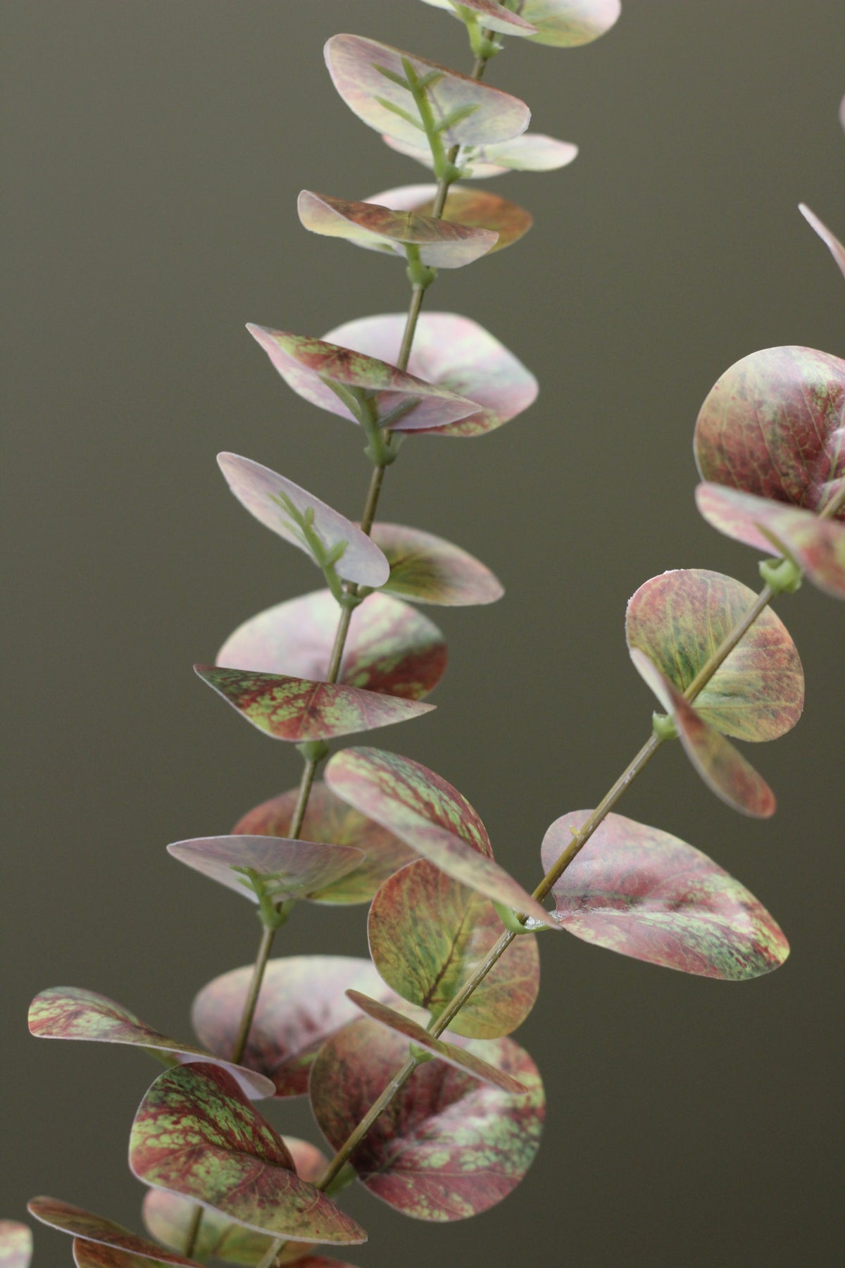 Olive & Umber Eucalyptus Stem alternative view for relaxed vase styling
