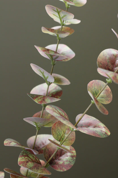 Olive & Umber Eucalyptus Stem alternative view for relaxed vase styling