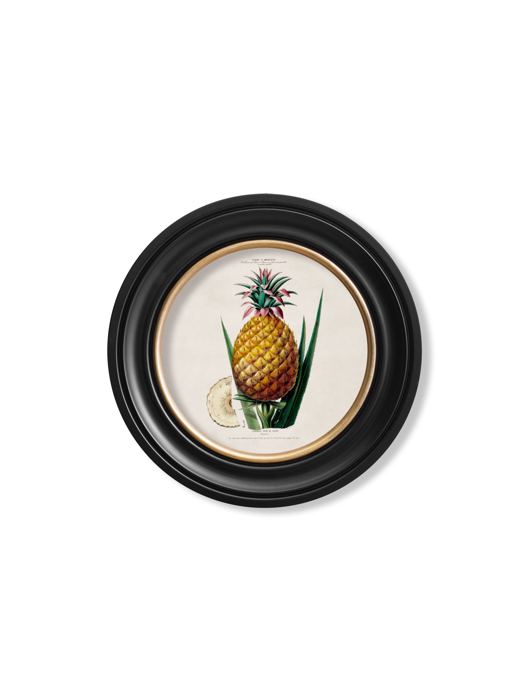c.1843 Pineapple Plant – Round Frame styled view – Leya Buster Interiors
