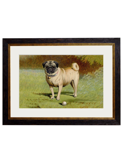 c.1881 Dogs styled view – Leya Buster Interiors