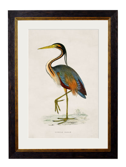 c.1850's British Wading Birds styled view – Leya Buster Interiors