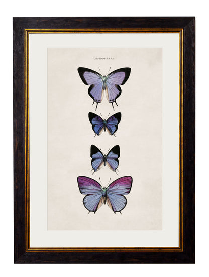 c.1835 Butterflies styled view – Leya Buster Interiors