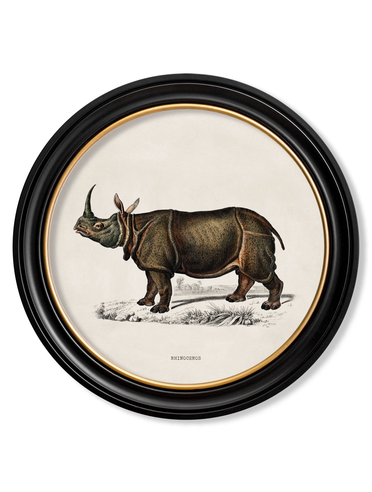 c.1846 Rhino & Hippo – Round Frames styled view – Leya Buster Interiors