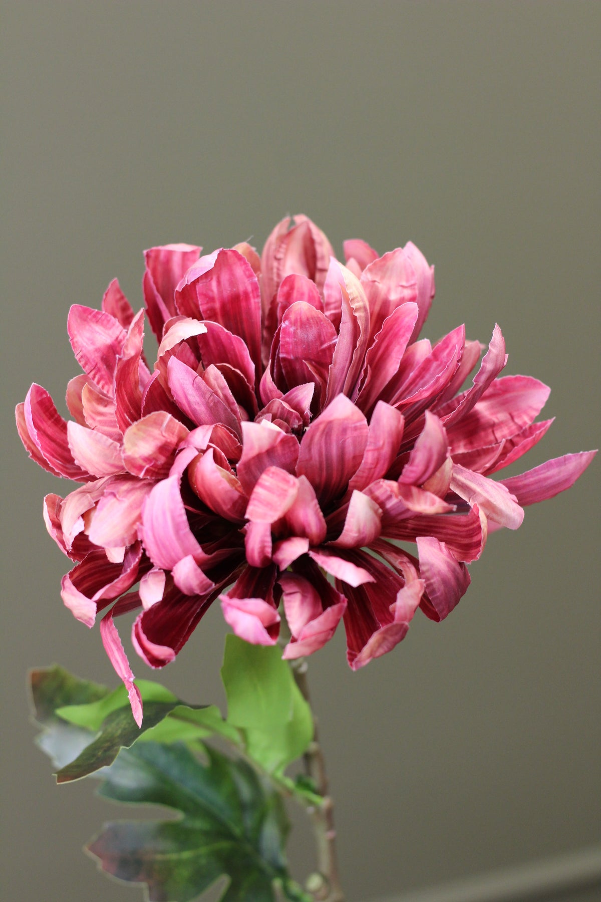Russet Heritage Chrysanthemum Stem styled in a warm autumn floral arrangement