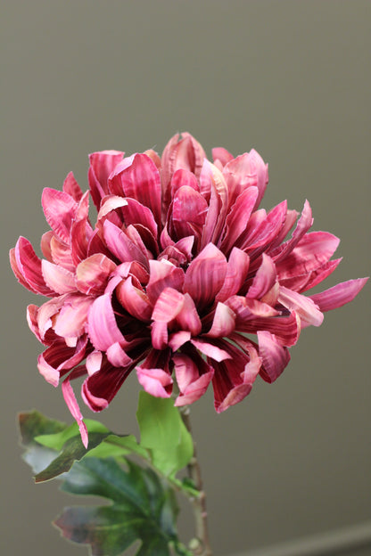 Russet Heritage Chrysanthemum Stem styled in a warm autumn floral arrangement