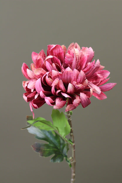 Russet Heritage Chrysanthemum Stem alternative view for seasonal vase styling