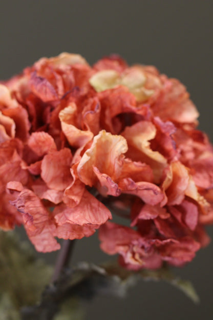 Rustic Hydrangea Stem – Burnt Orange detail view of the textured flower head
