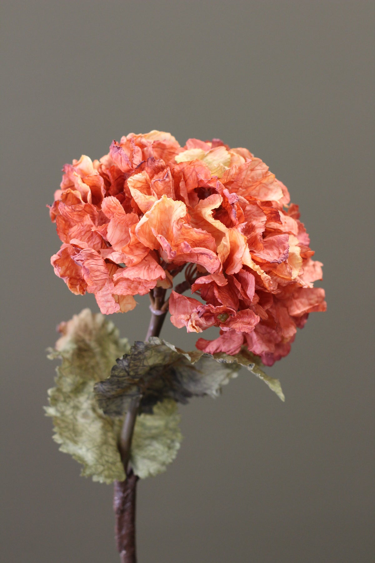 Rustic Hydrangea Stem – Burnt Orange styled in a rich autumn floral arrangement