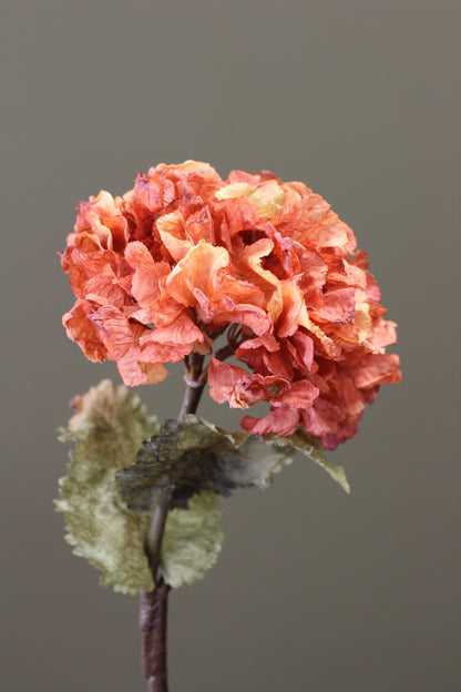 Rustic Hydrangea Stem – Burnt Orange styled in a rich autumn floral arrangement