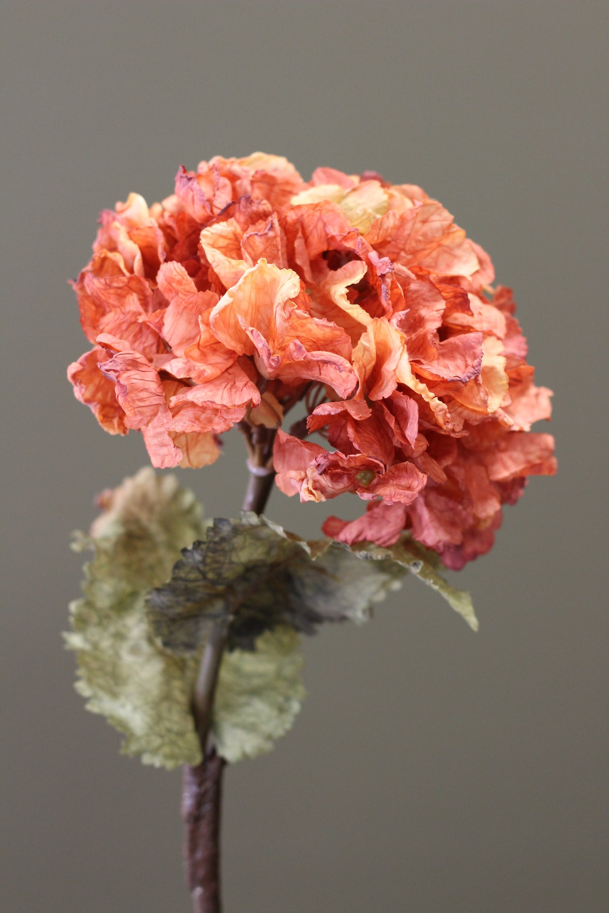 Rustic Hydrangea Stem – Burnt Orange alternative view for statement vase styling