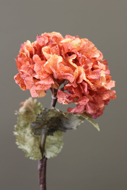 Rustic Hydrangea Stem – Burnt Orange alternative view for statement vase styling