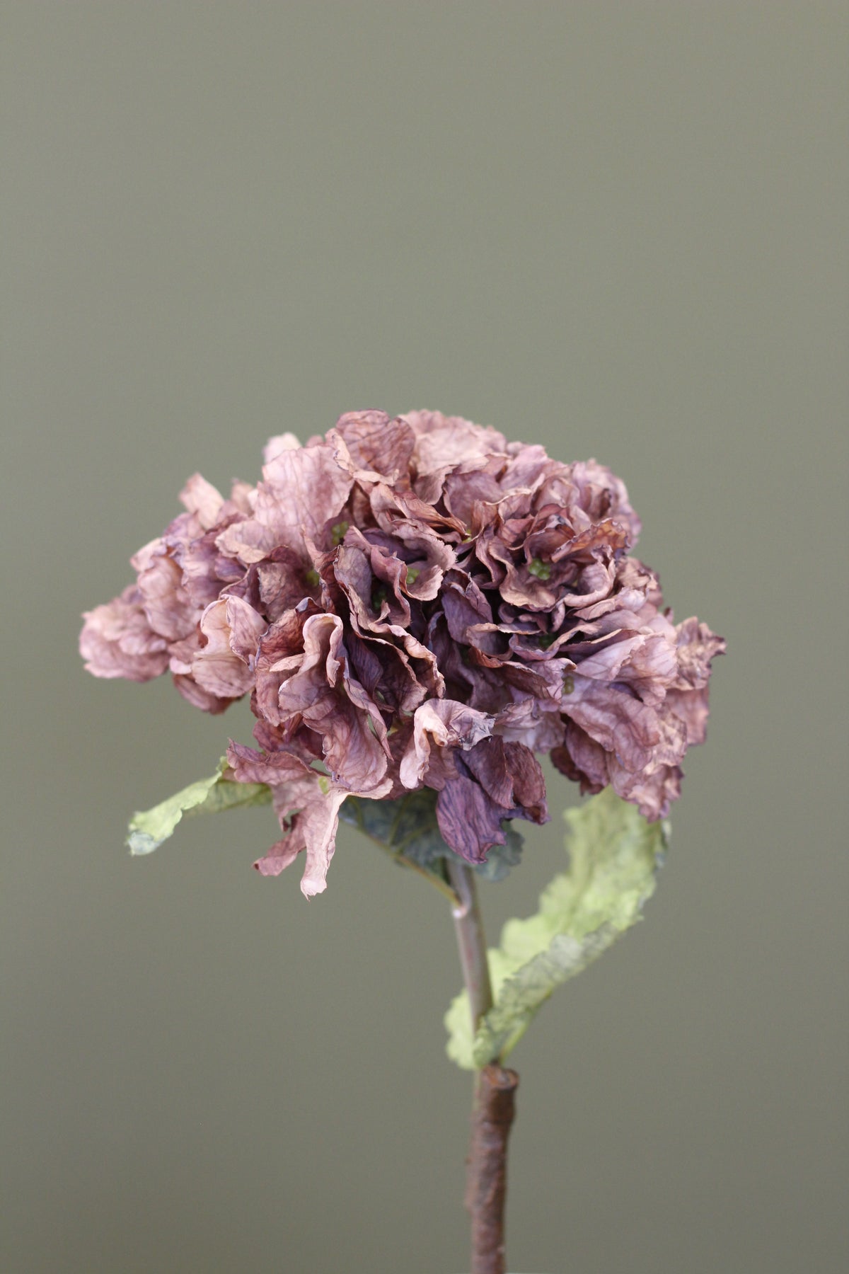 Rustic Hydrangea Stem – Mocha detail view of the textured flower head