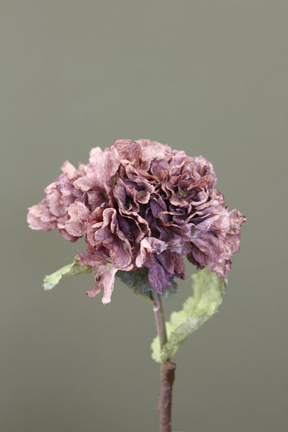 Rustic Hydrangea Stem – Mocha detail view of the textured flower head