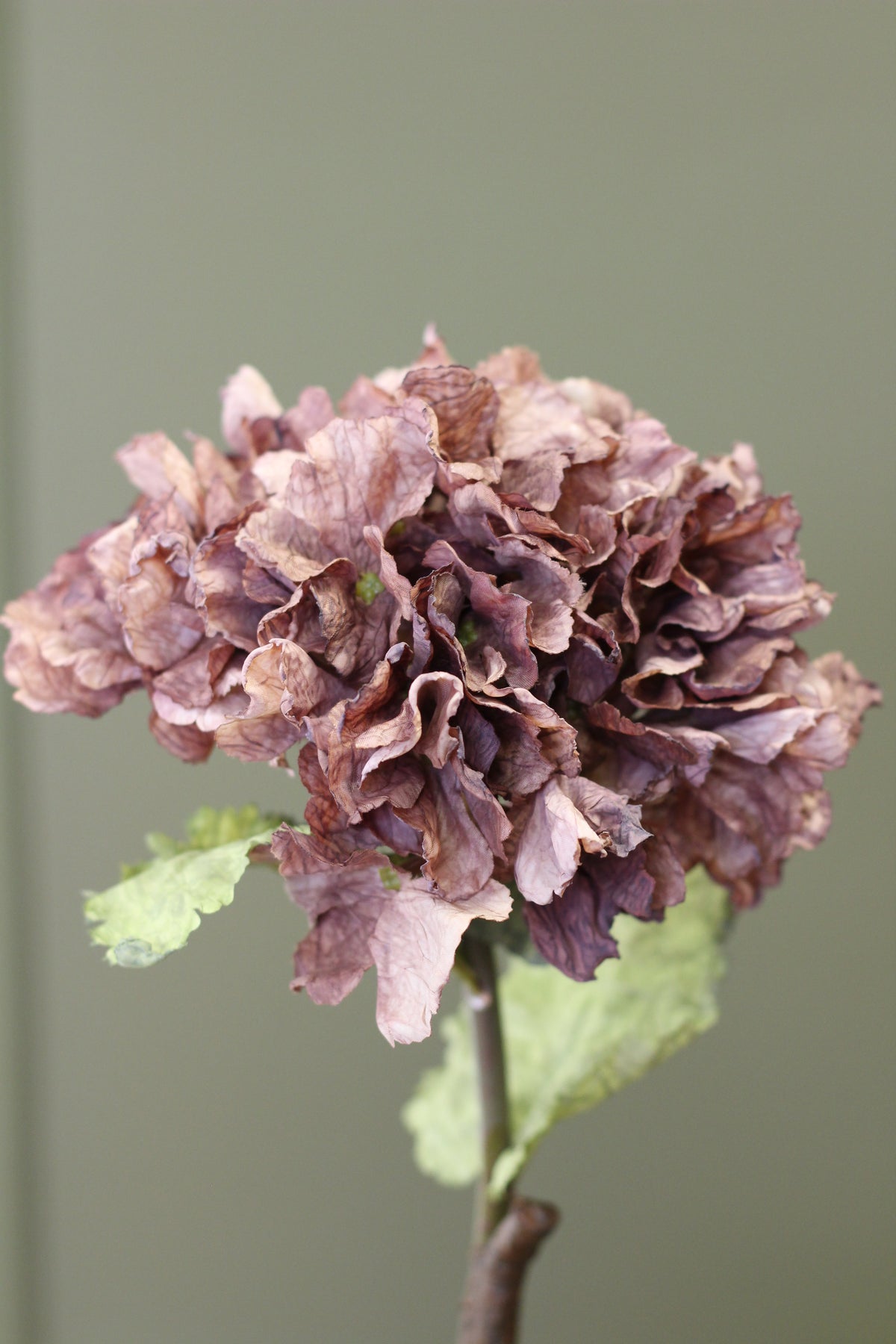 Rustic Hydrangea Stem – Mocha styled in a warm autumn floral arrangement