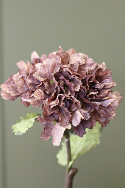 Rustic Hydrangea Stem – Mocha styled in a warm autumn floral arrangement