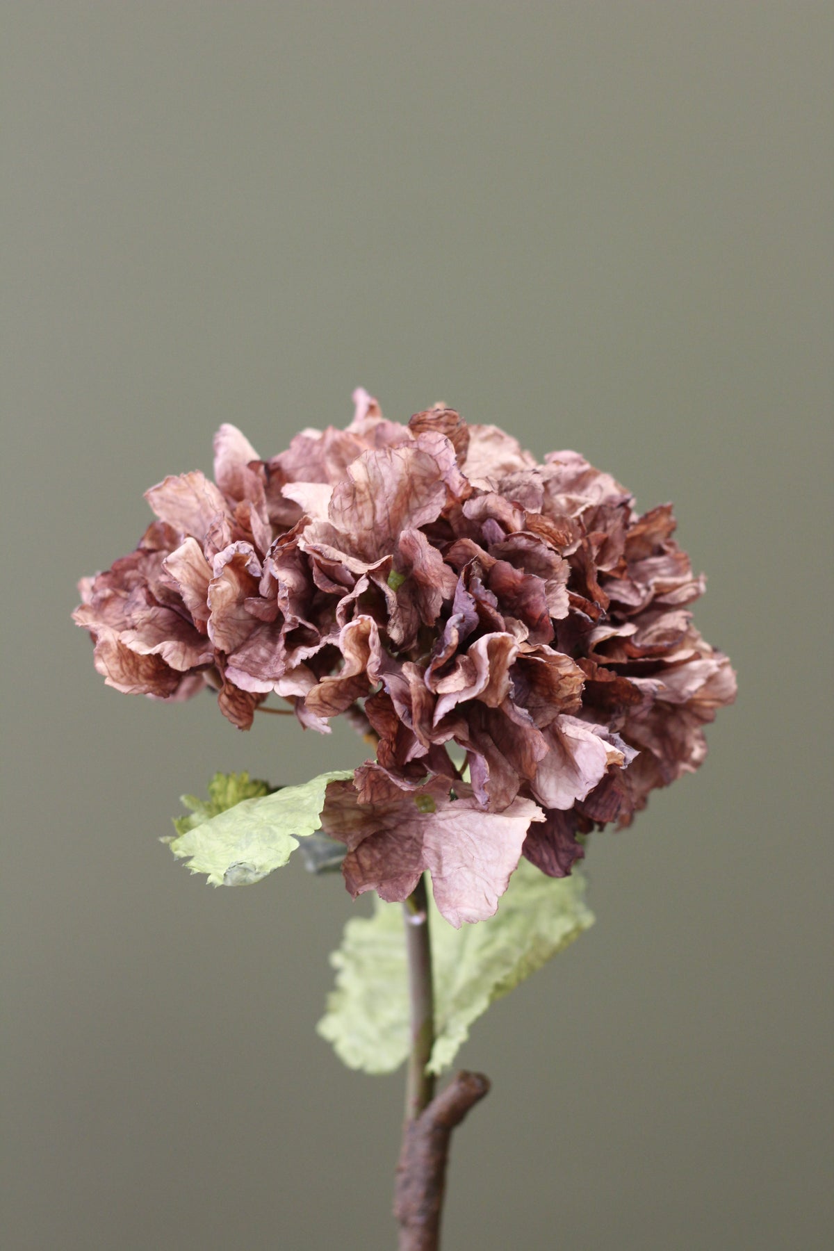 Rustic Hydrangea Stem – Mocha alternative view for statement vase styling