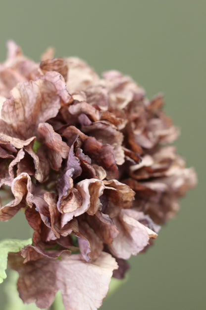 Rustic Hydrangea Stem – Mocha close view of the faux hydrangea petals