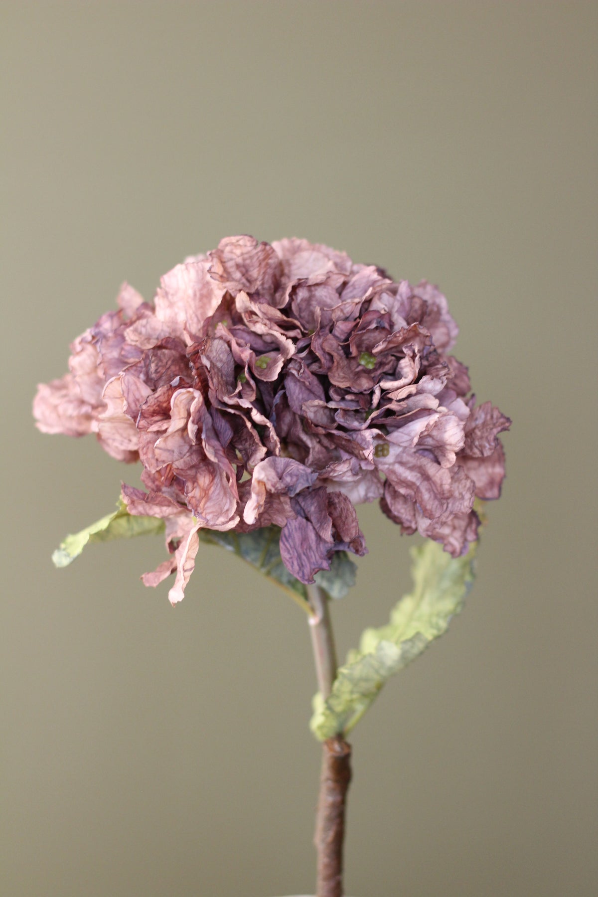Rustic Hydrangea Stem – Mocha styled for layered autumn interiors
