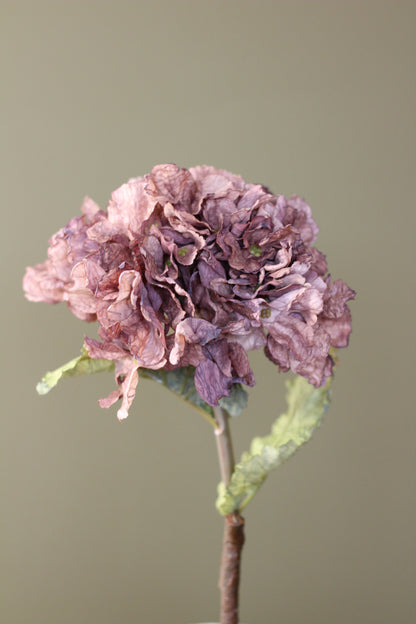 Rustic Hydrangea Stem – Mocha styled for layered autumn interiors