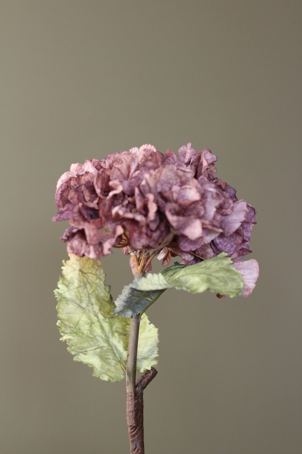 Rustic Hydrangea Stem – Mocha alternative close-up for floral styling