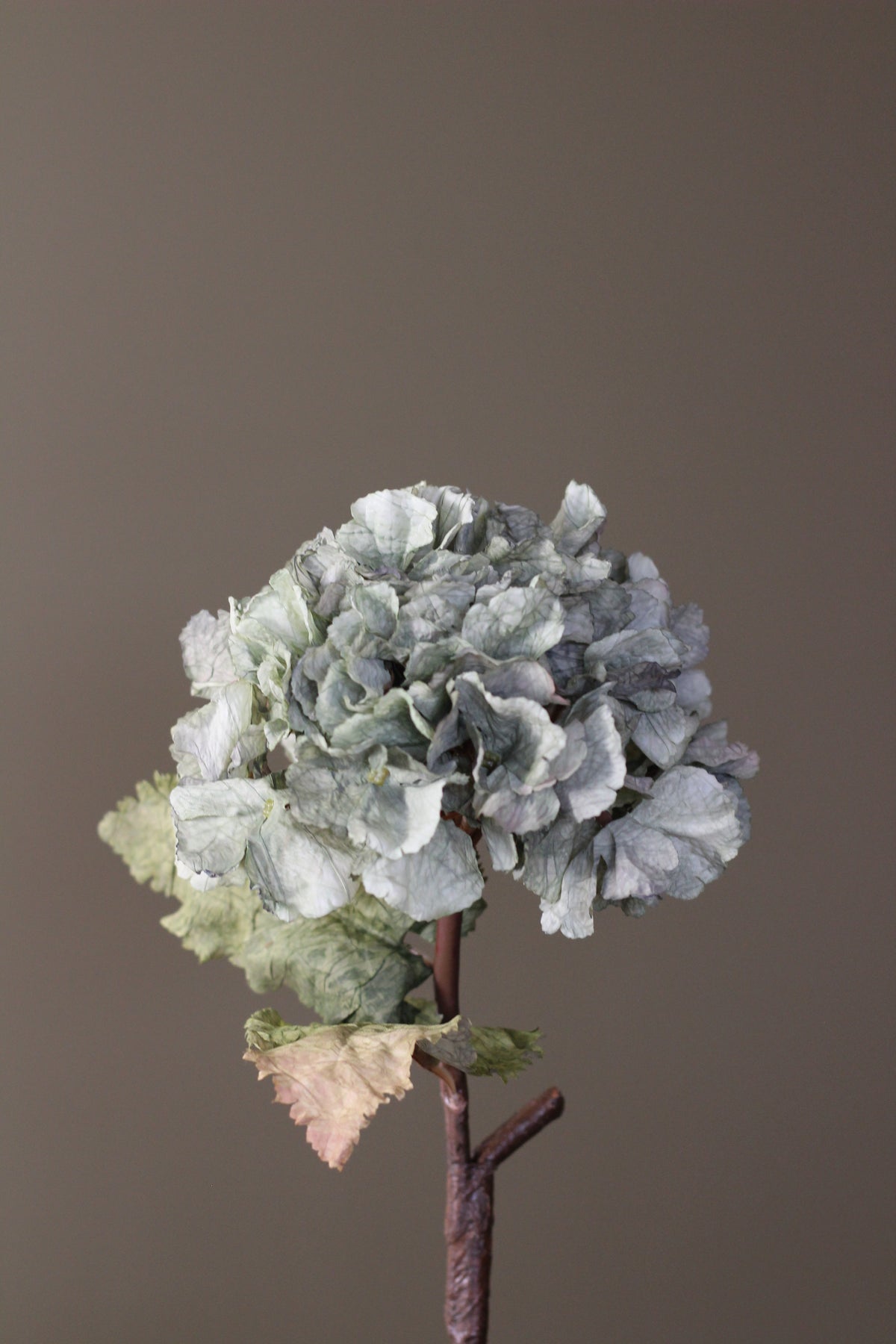 Rustic Hydrangea Stem – Moss Green detail view of the textured flower head