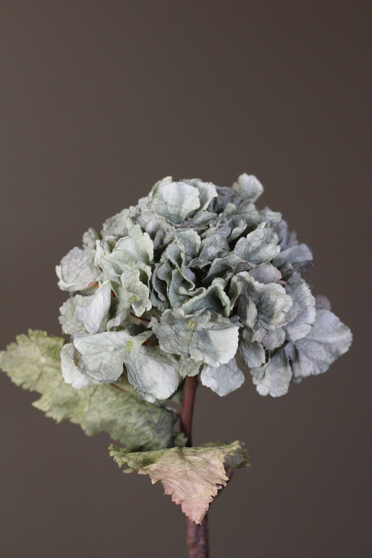 Rustic Hydrangea Stem – Moss Green styled in an autumn floral arrangement