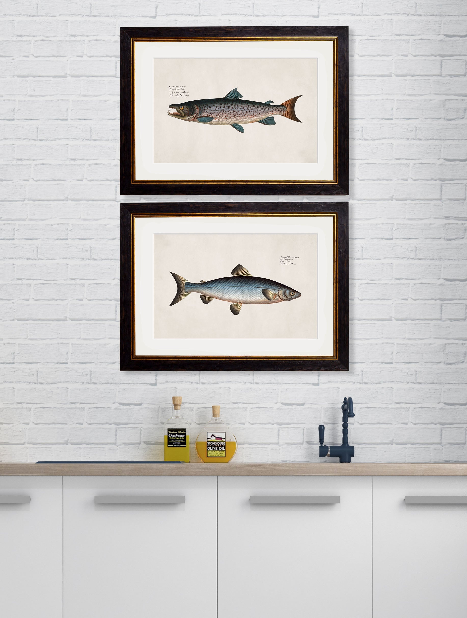 c.1785 Studies of Salmon – framed wall art at Leya Buster Interiors