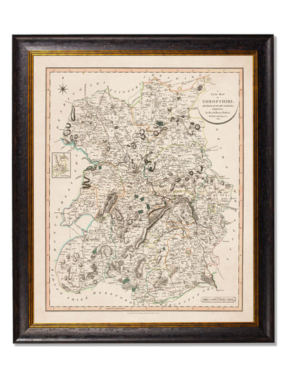 c.1806 County Maps of England styled view – Leya Buster Interiors