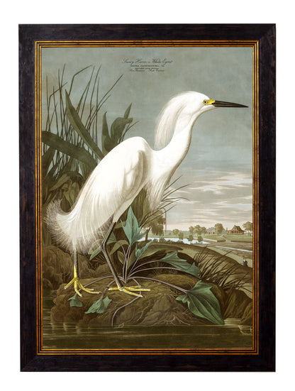c.1838 Audubon's Herons styled view – Leya Buster Interiors